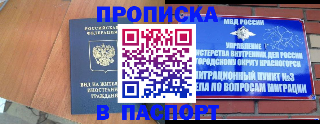 найти адрес прописки в Камышлове